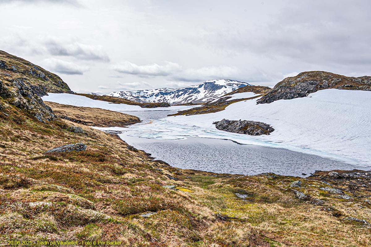 Tjødn på Vikafjellet