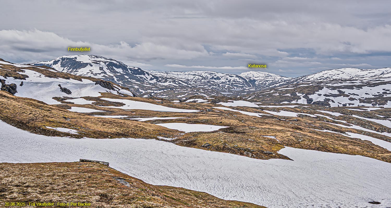 Frå Vikafjellet