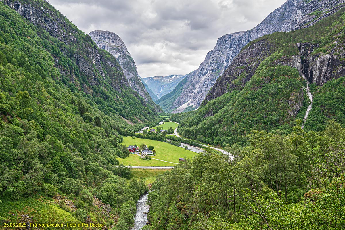Frå Nærøydalen
