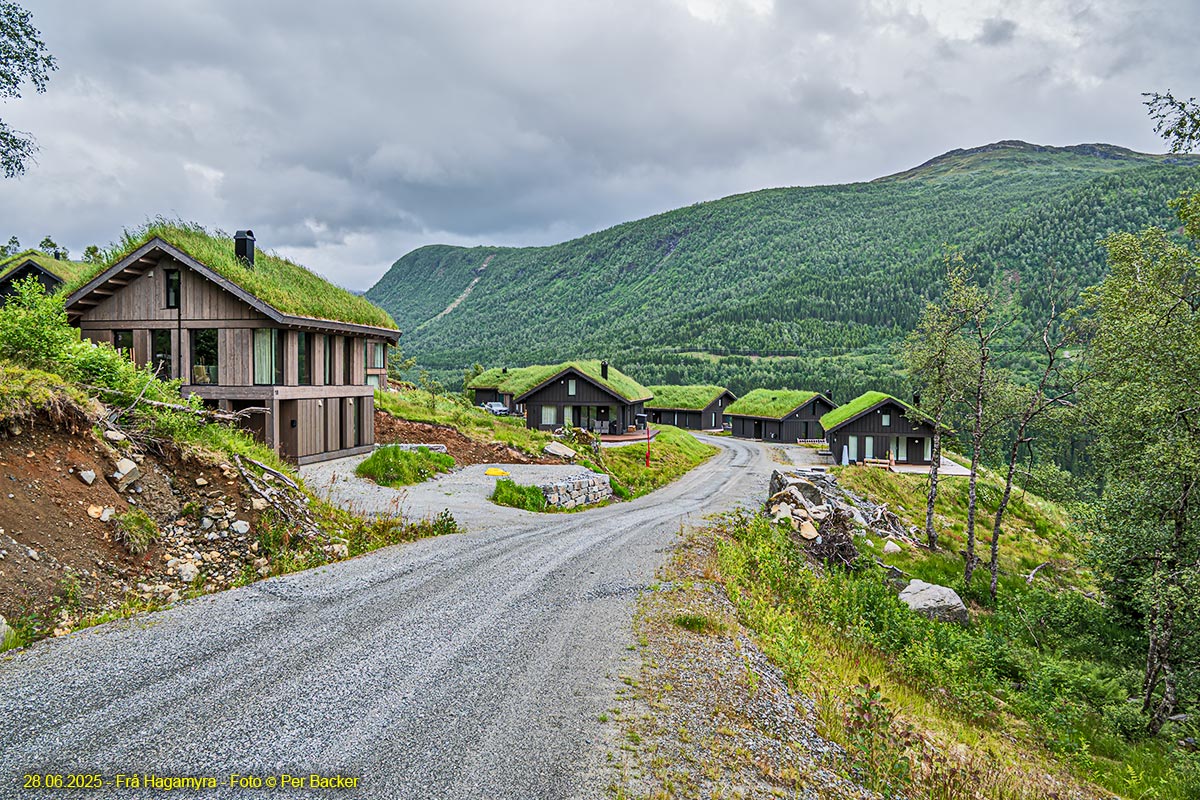 Frå Hagamyra