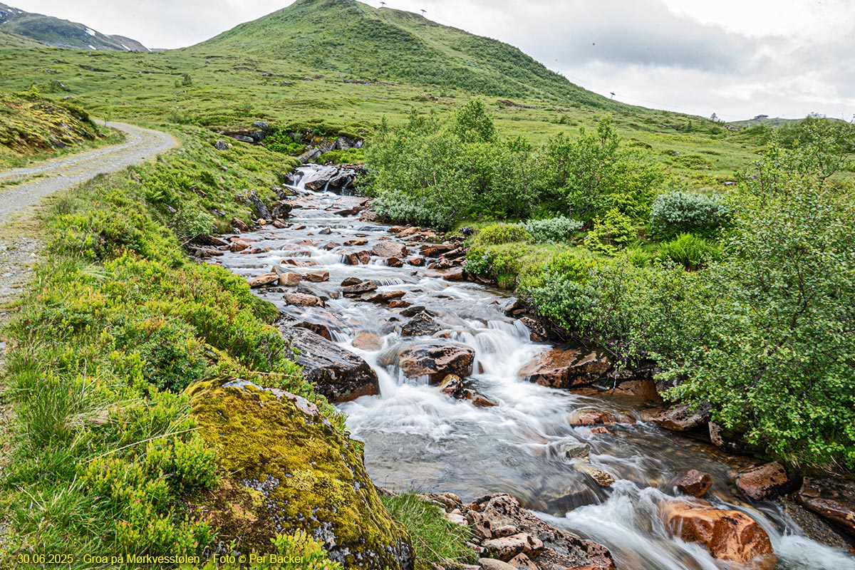 Groa på Mørkvestølen