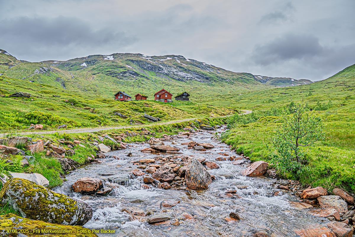 Frå Mørkvesstølen
