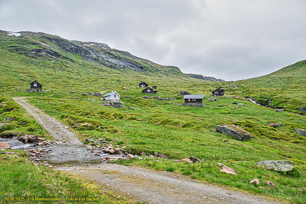 Frå Mørkvesstølen