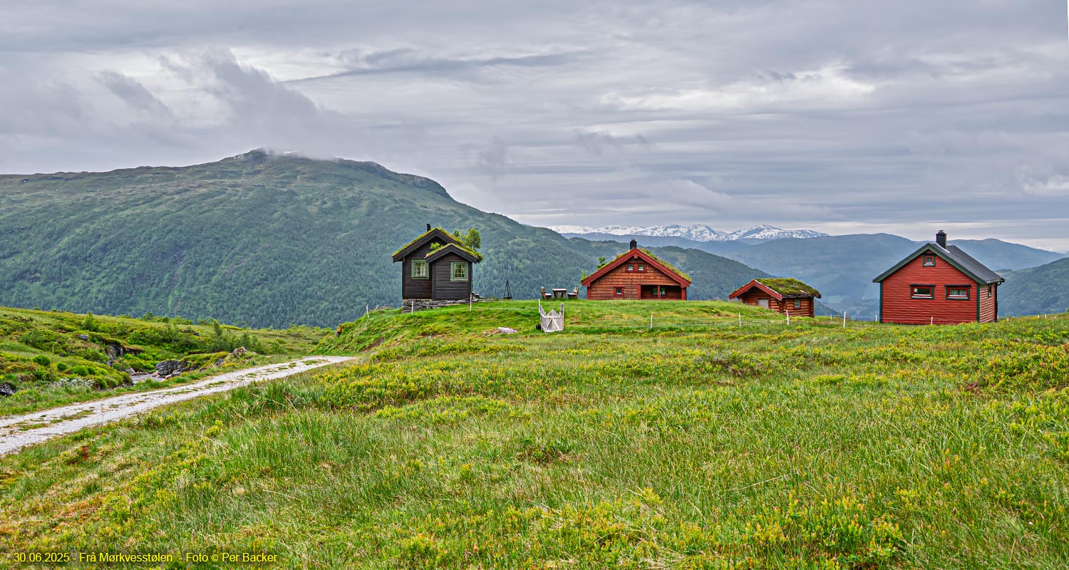 Frå Mørkvesstølen
