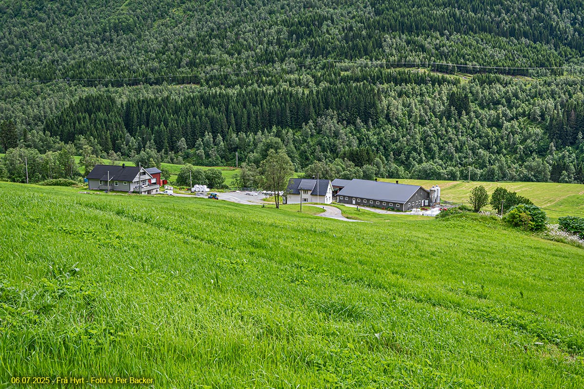 Frå Hyrt