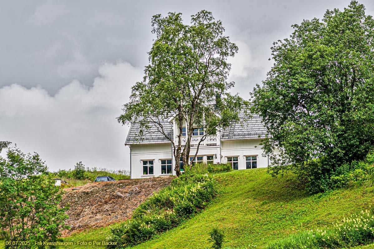 Frå Kvasshaugen