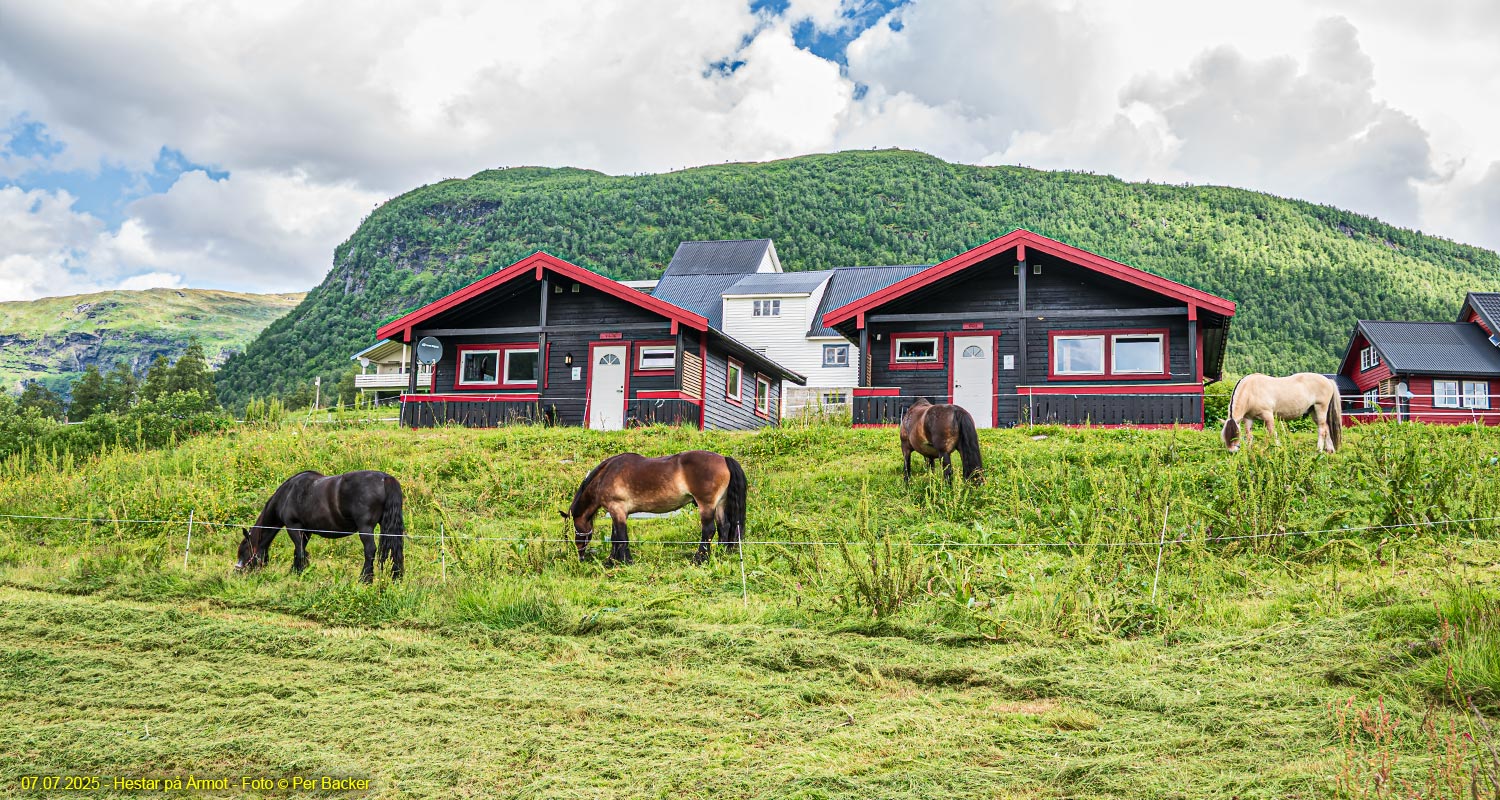 Hestar på Årmot