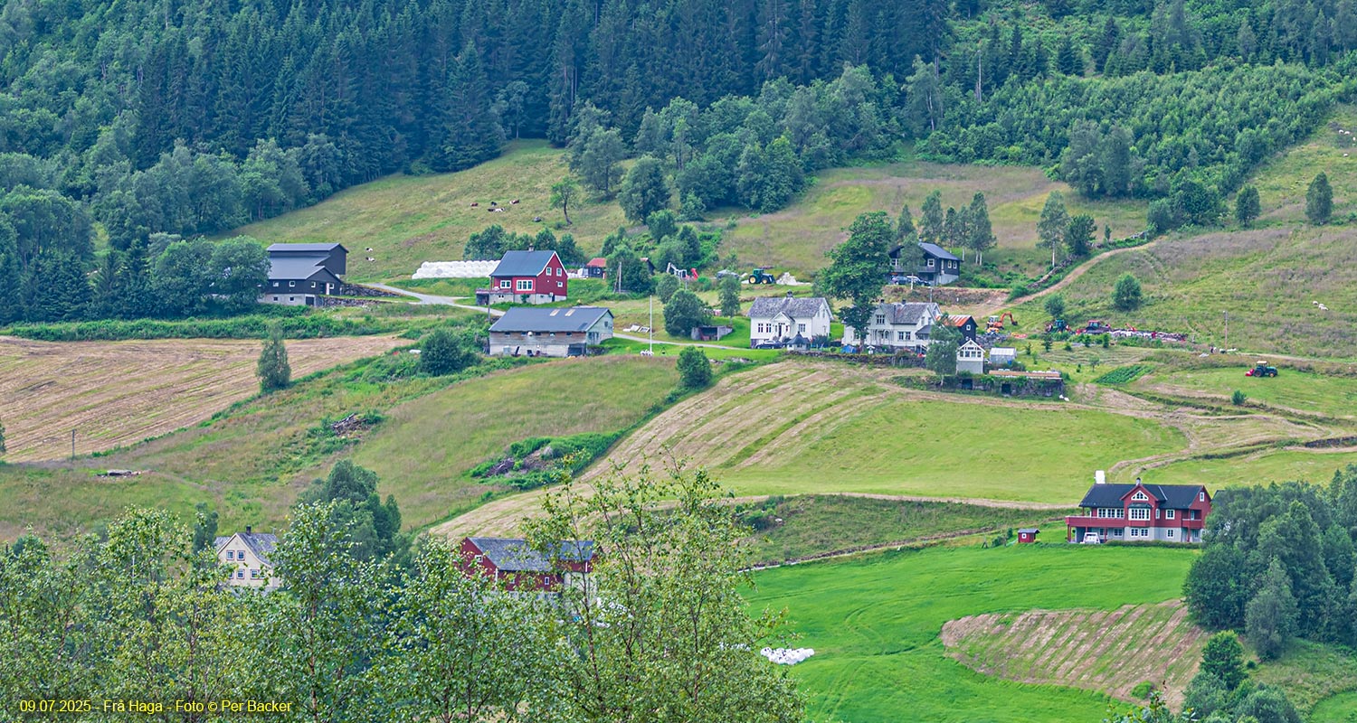 Frå Haga