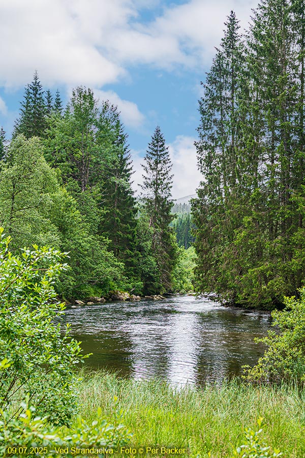 Ved Strandaelva