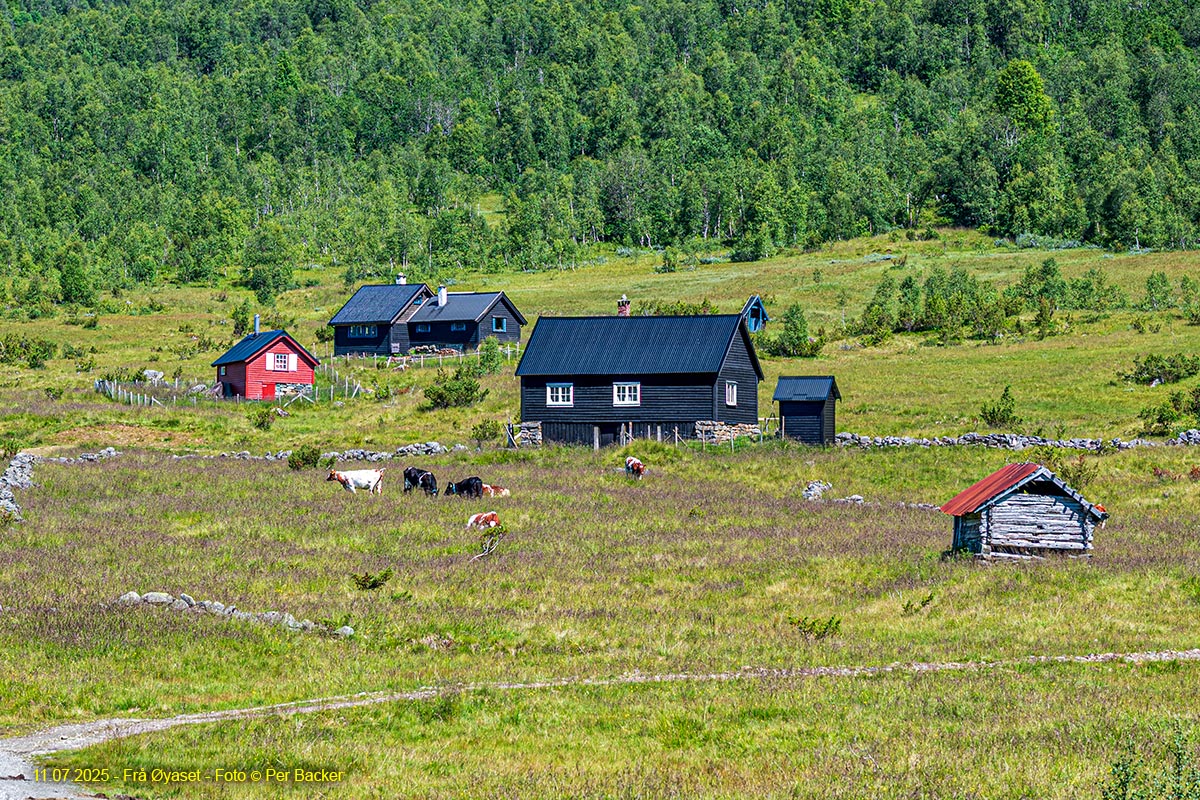 Frå Øyaset