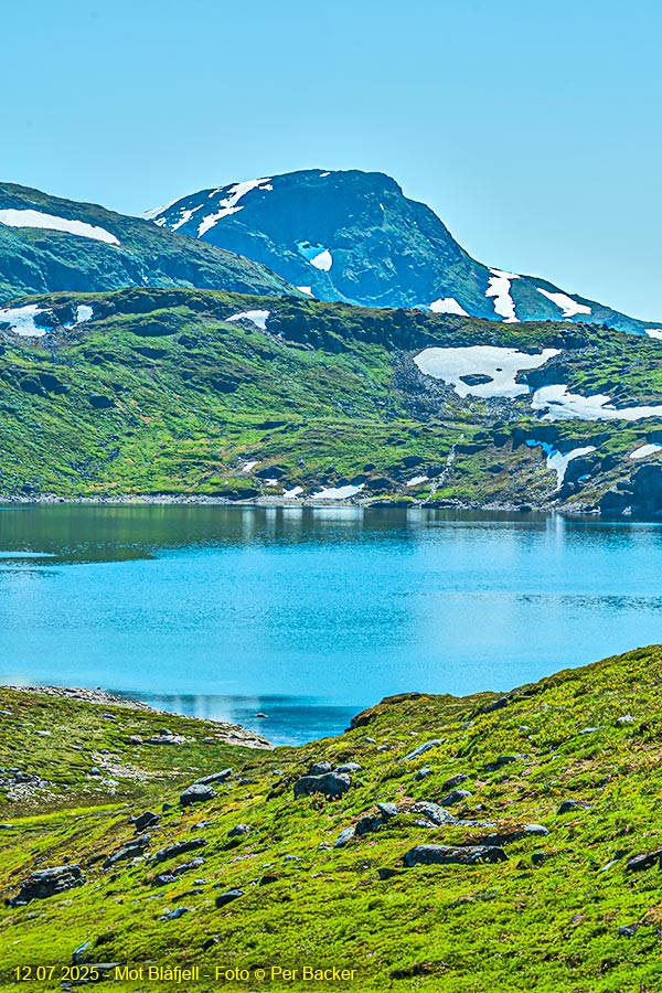 Mot Blåfjell 1529 moh.