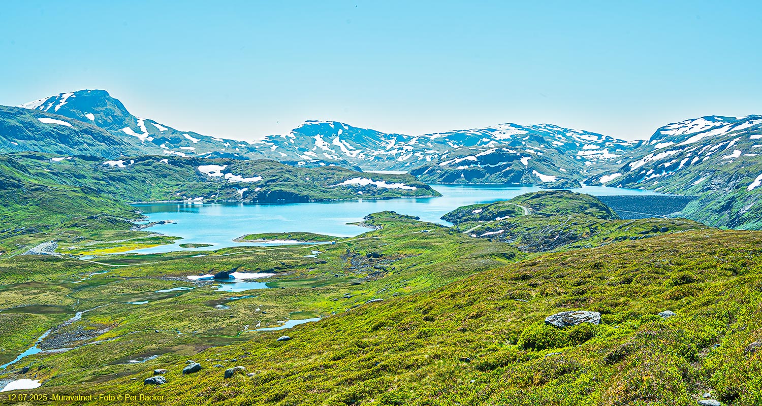 Muravatnet