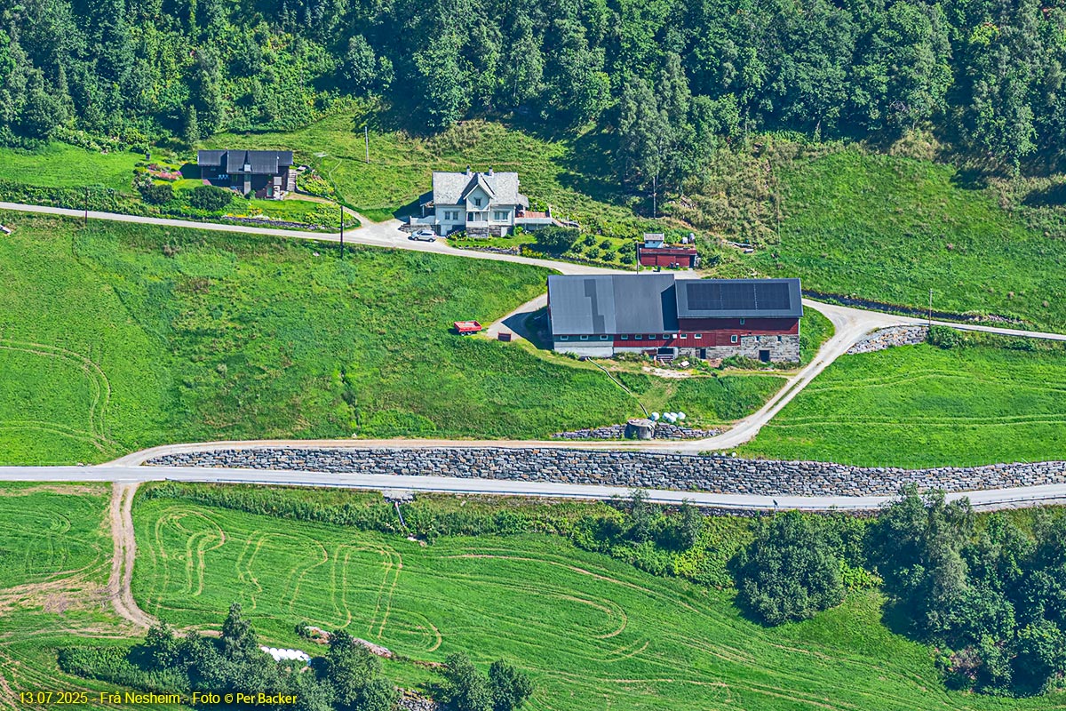 Frå Nesheim
