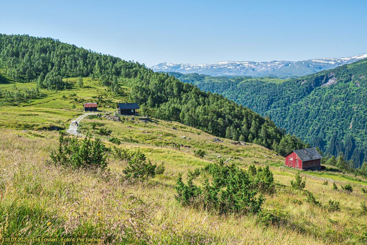 Frå Fossen