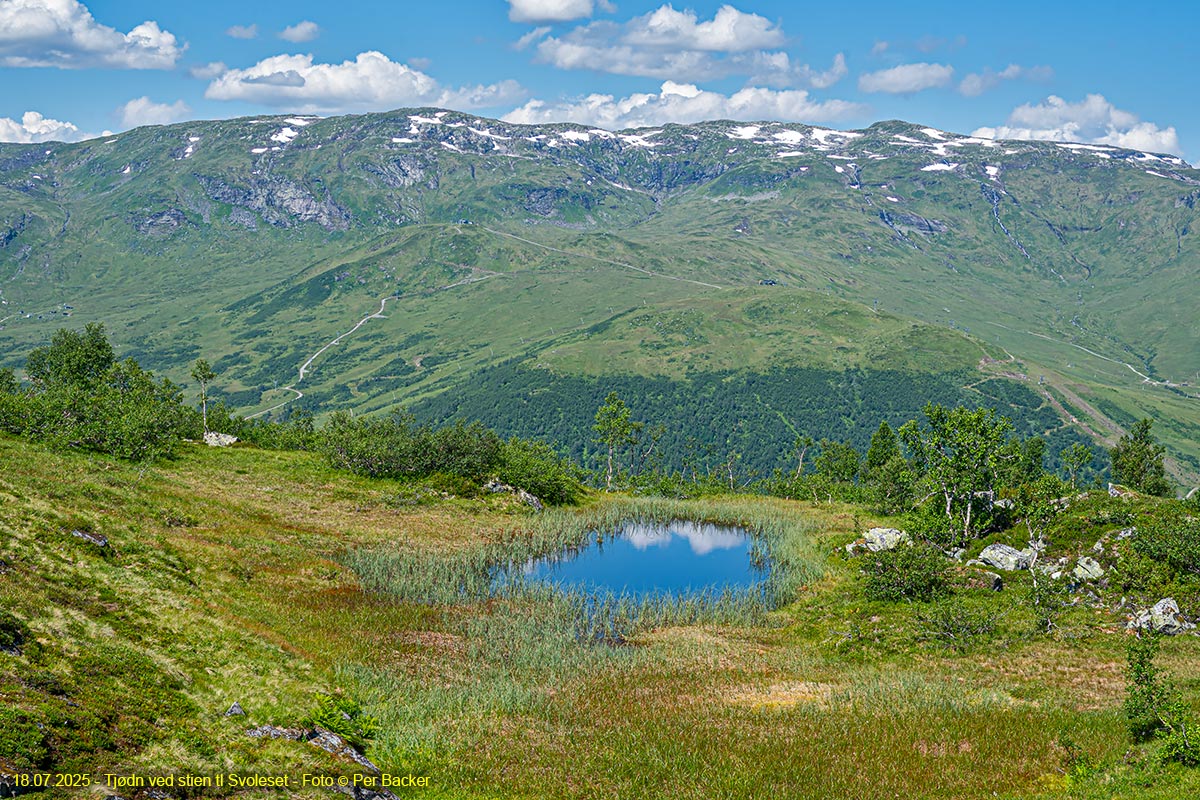 Tjødn ved stien til Svoleset