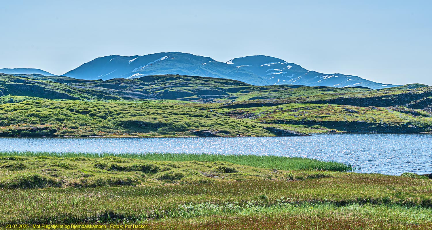 Mot Fuglafjellet og Bjørndalskamben
