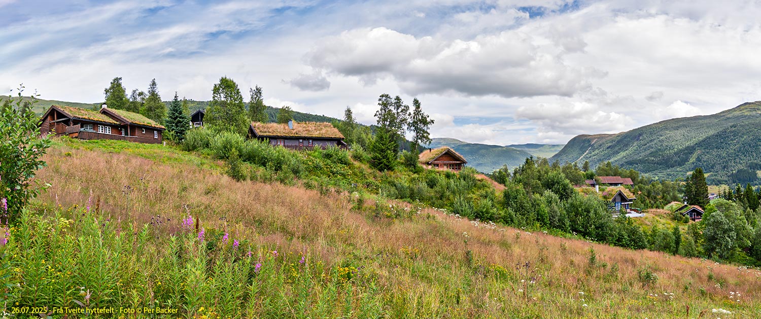 Frå Tveite hyttefelt