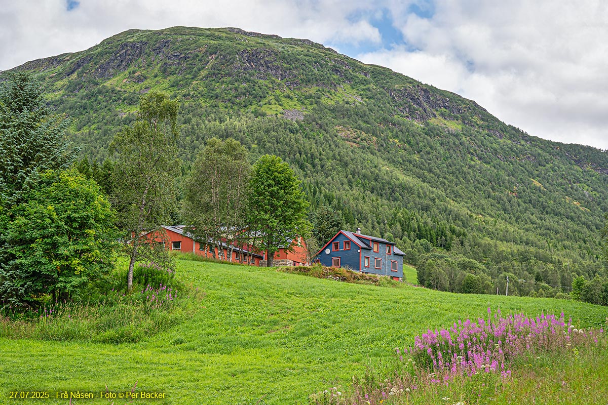 Frå Nåsen
