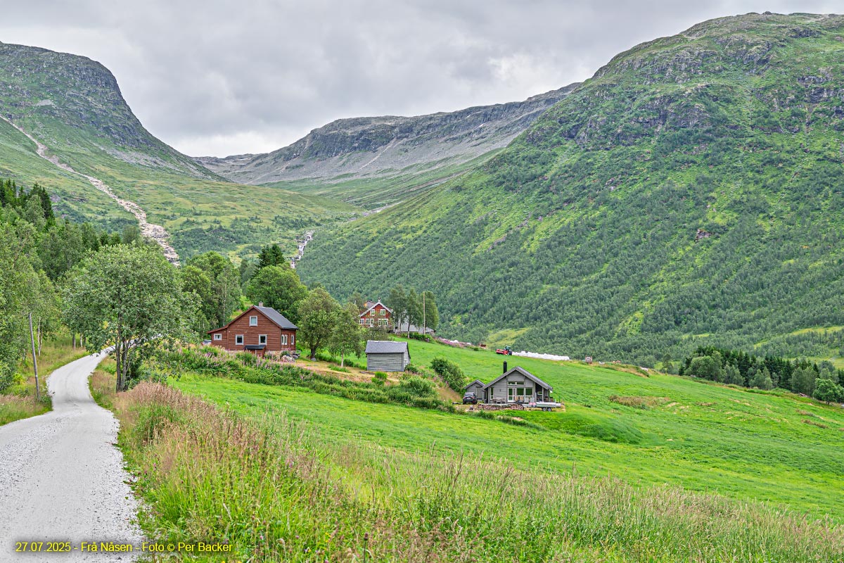 Frå Nåsen