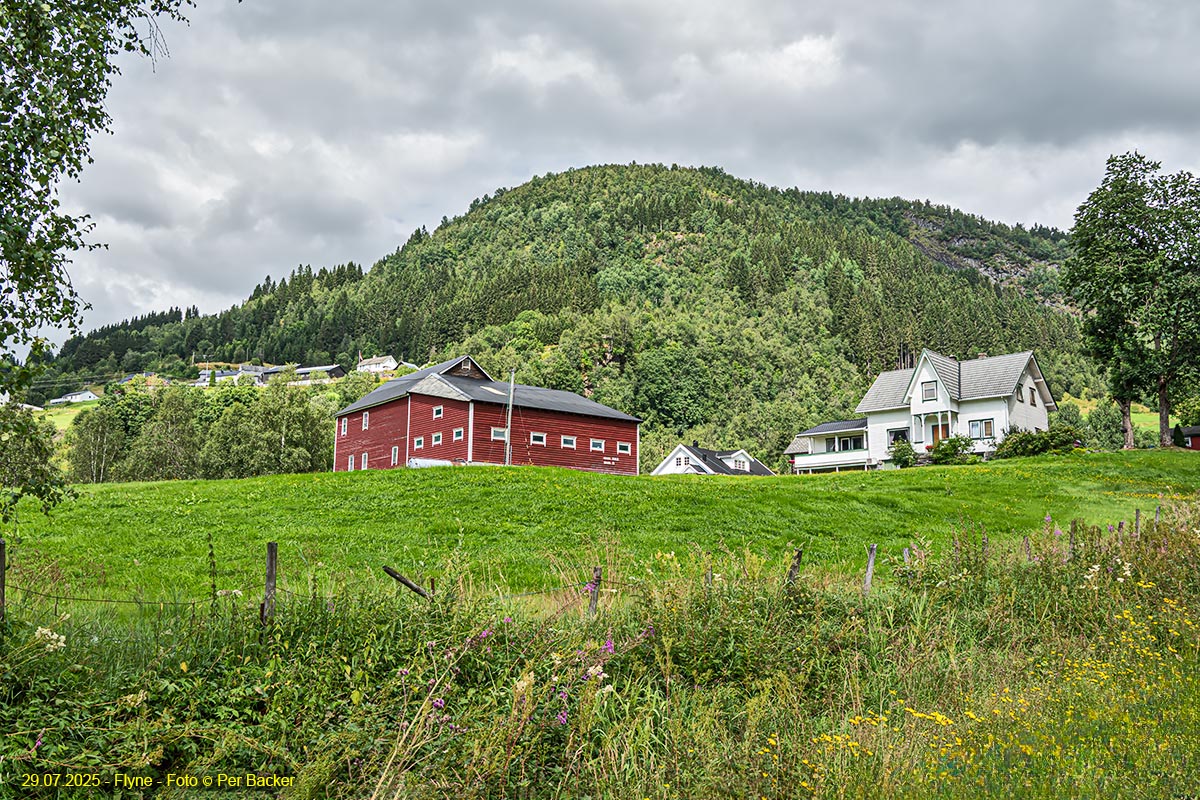 Frå Flyne