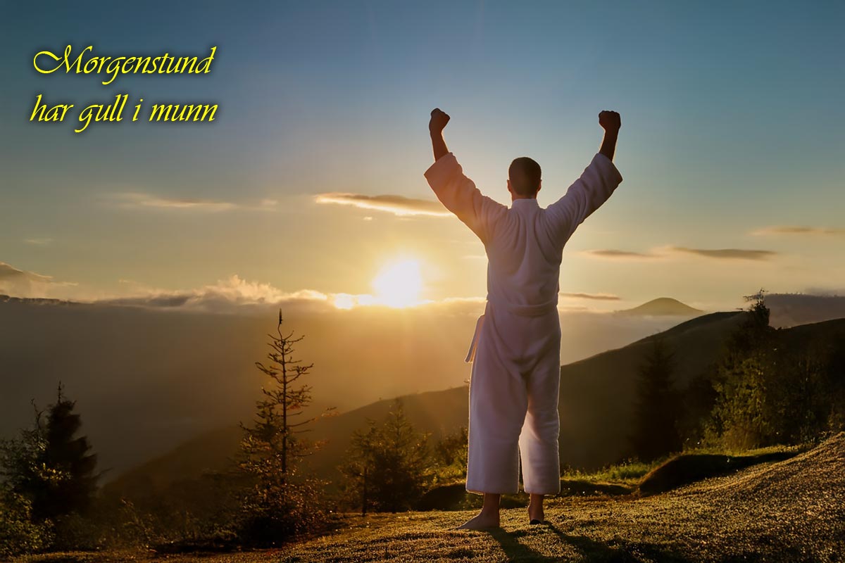 Morgenstund har gull i munn (KI)