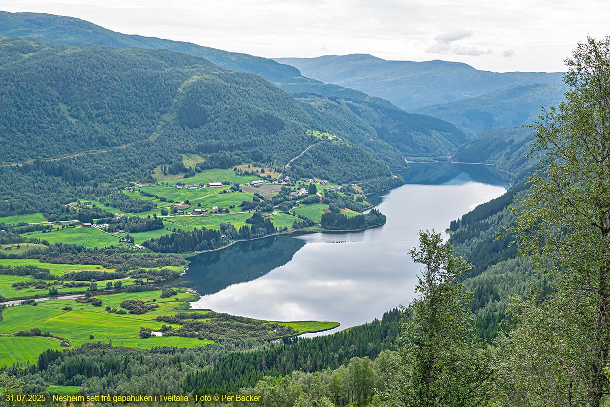 Nesheim sett frå gapahuken i Tveitalia