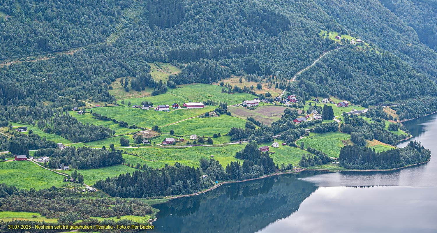 Nesheim sett frå gapahuken i Tveitalia