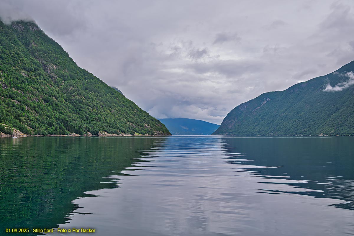 Stille fjord