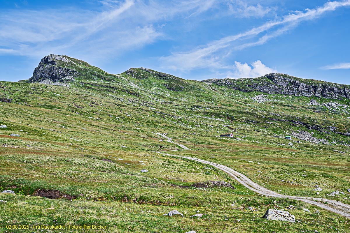 Frå Dueskardet