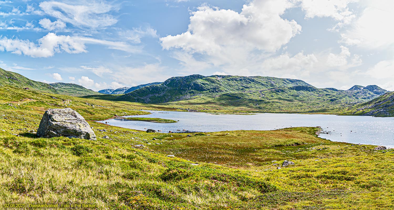 Dueskardvatnet