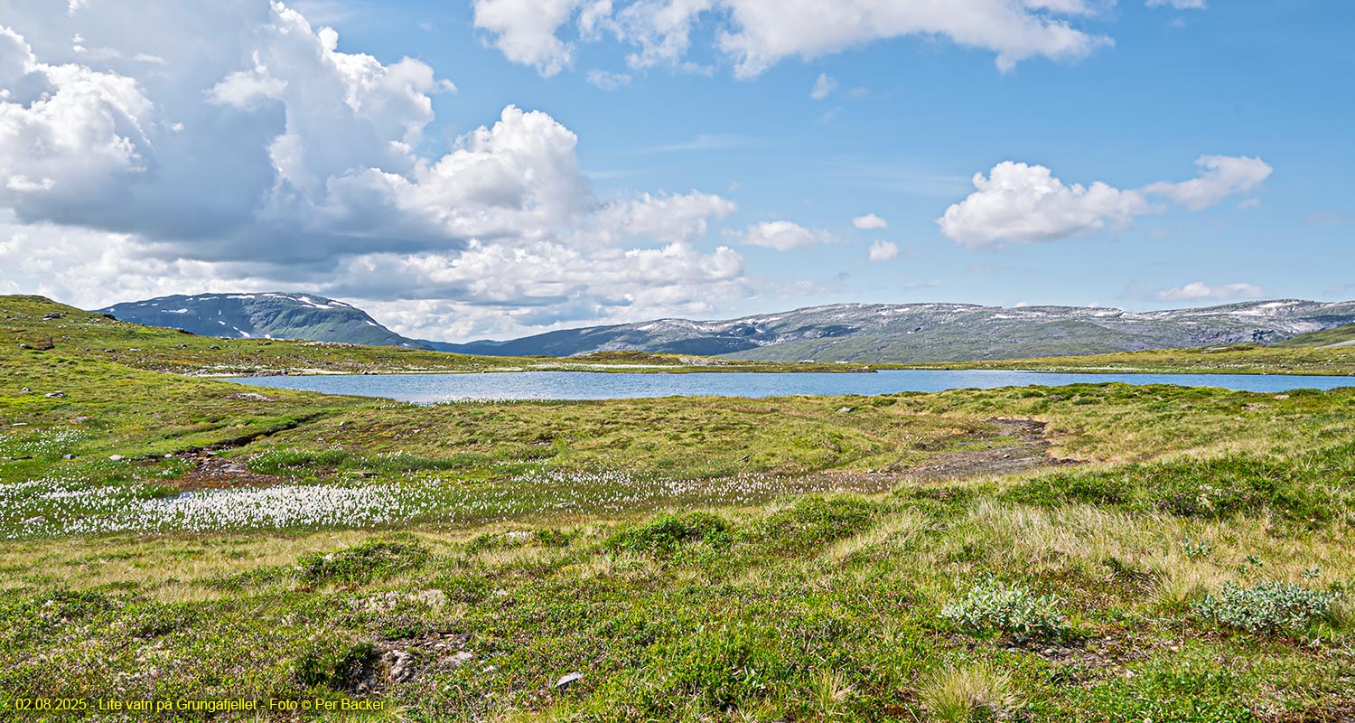 Lite vatn på Grungafjellet