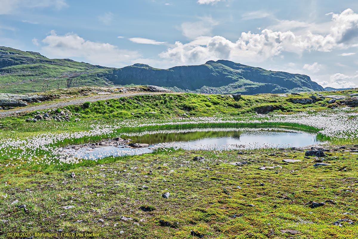 Myrulltjørn på Grungafjellet