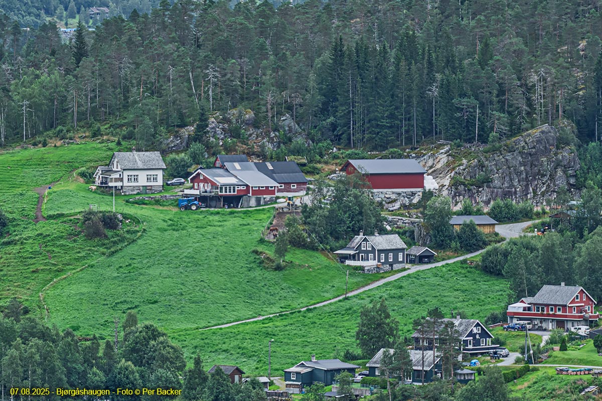 Bjørgåshaugen