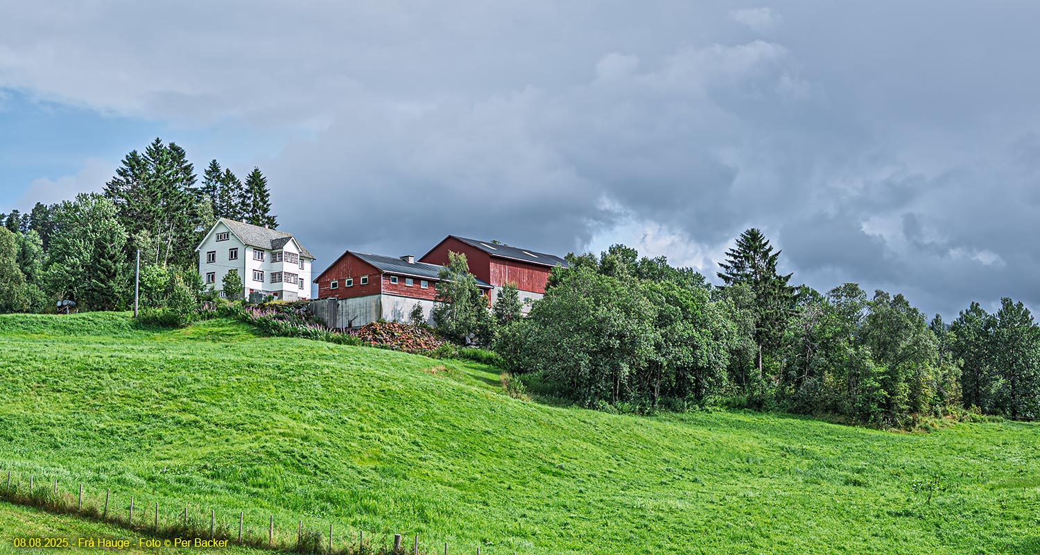 Frå Hauge