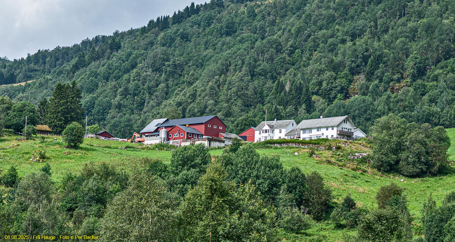 Frå Hauge