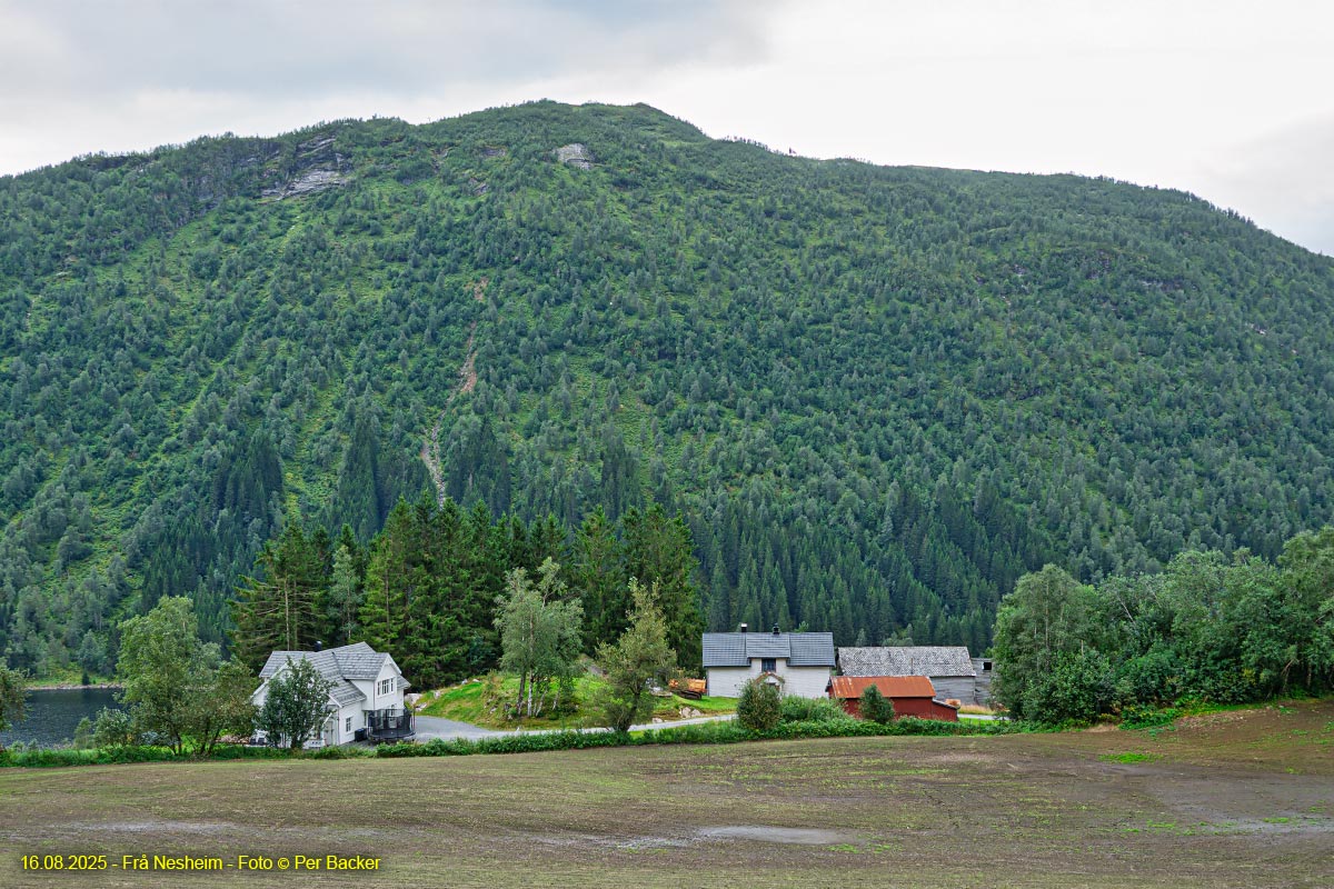 Frå Nesheim