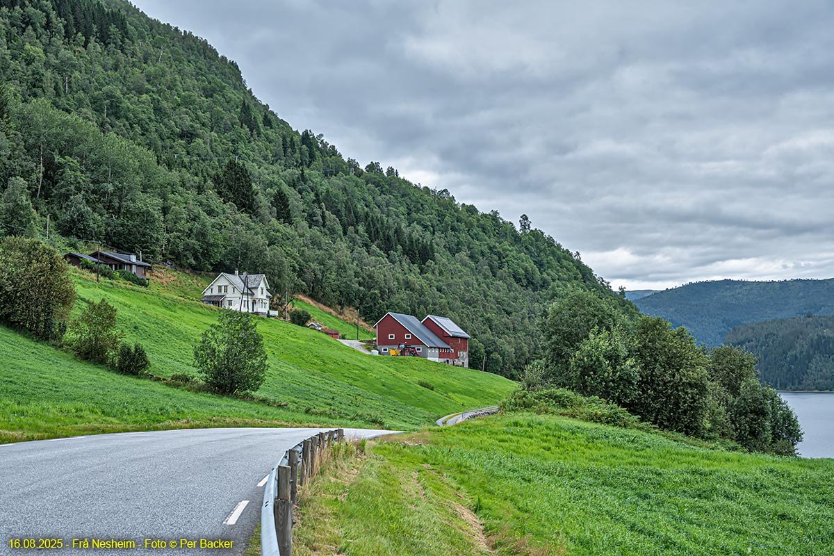 Frå Nesheim
