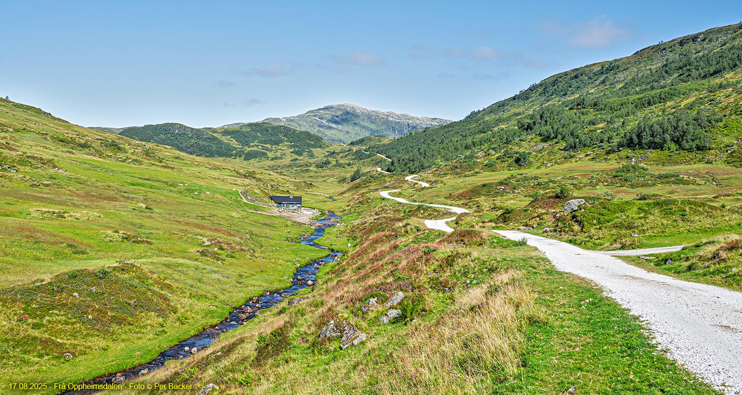Frå Oppheimsdalen