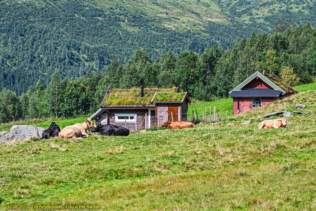 Frå Bygdastølen