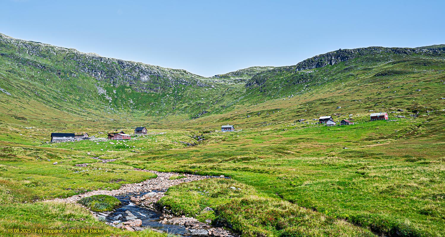 Frå Reppane
