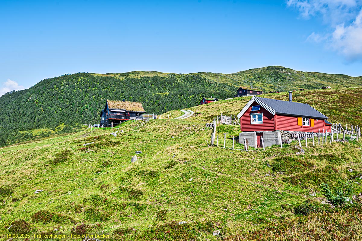 Frå Revhaugen