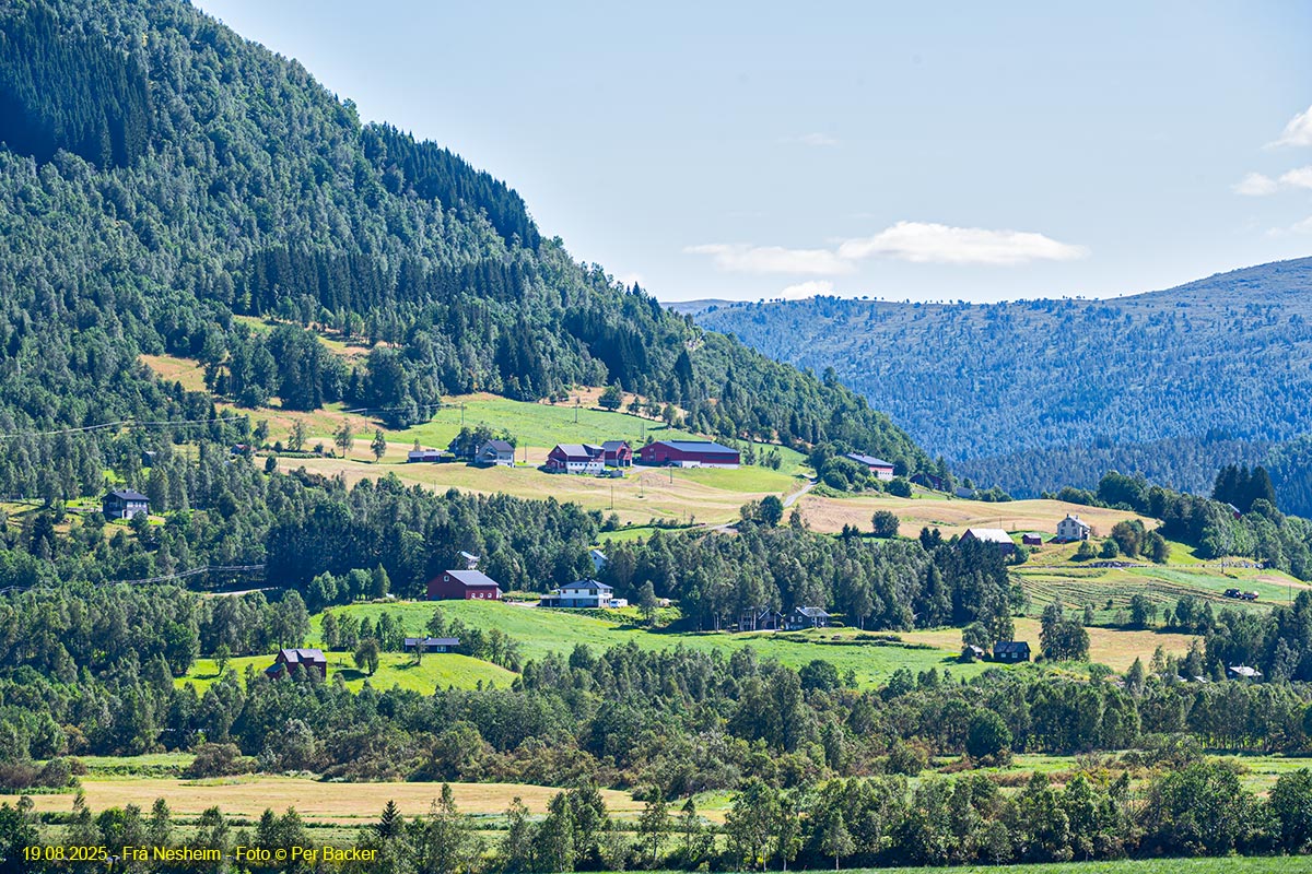 Frå Nesheim