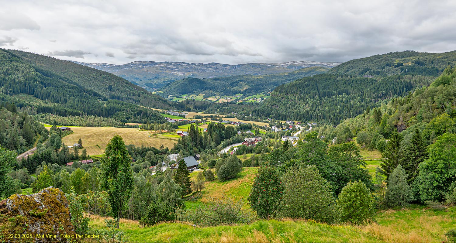 Vinje sett frå Øvre Vinje