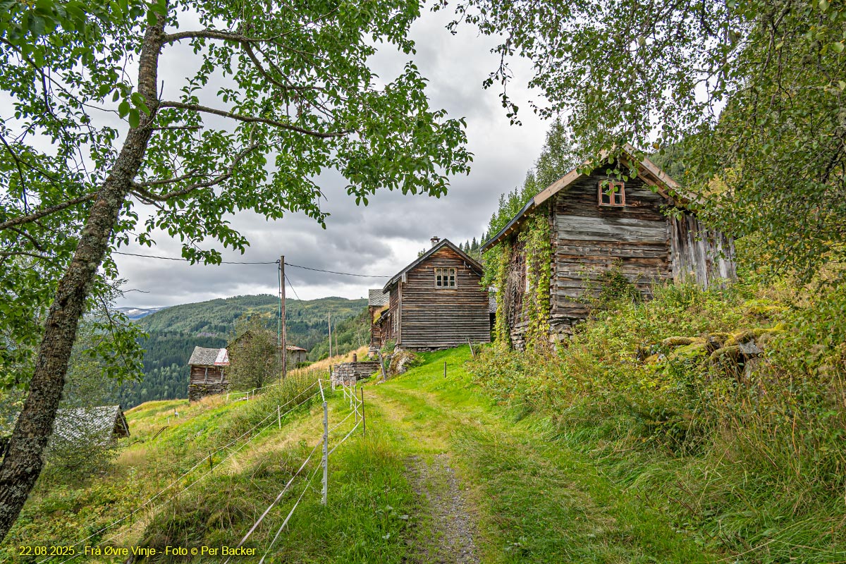Frå Øvre Vinje