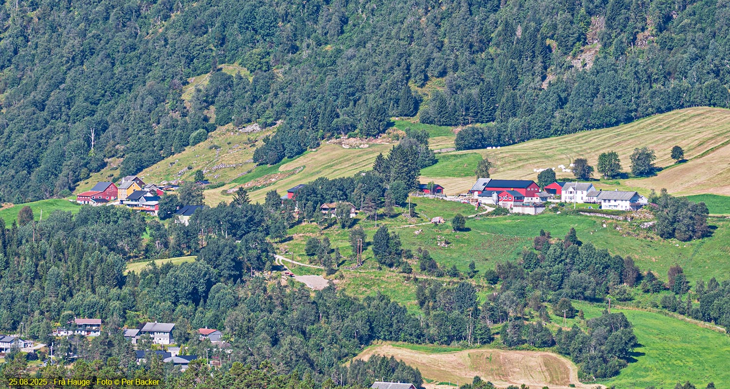 Frå Hauge