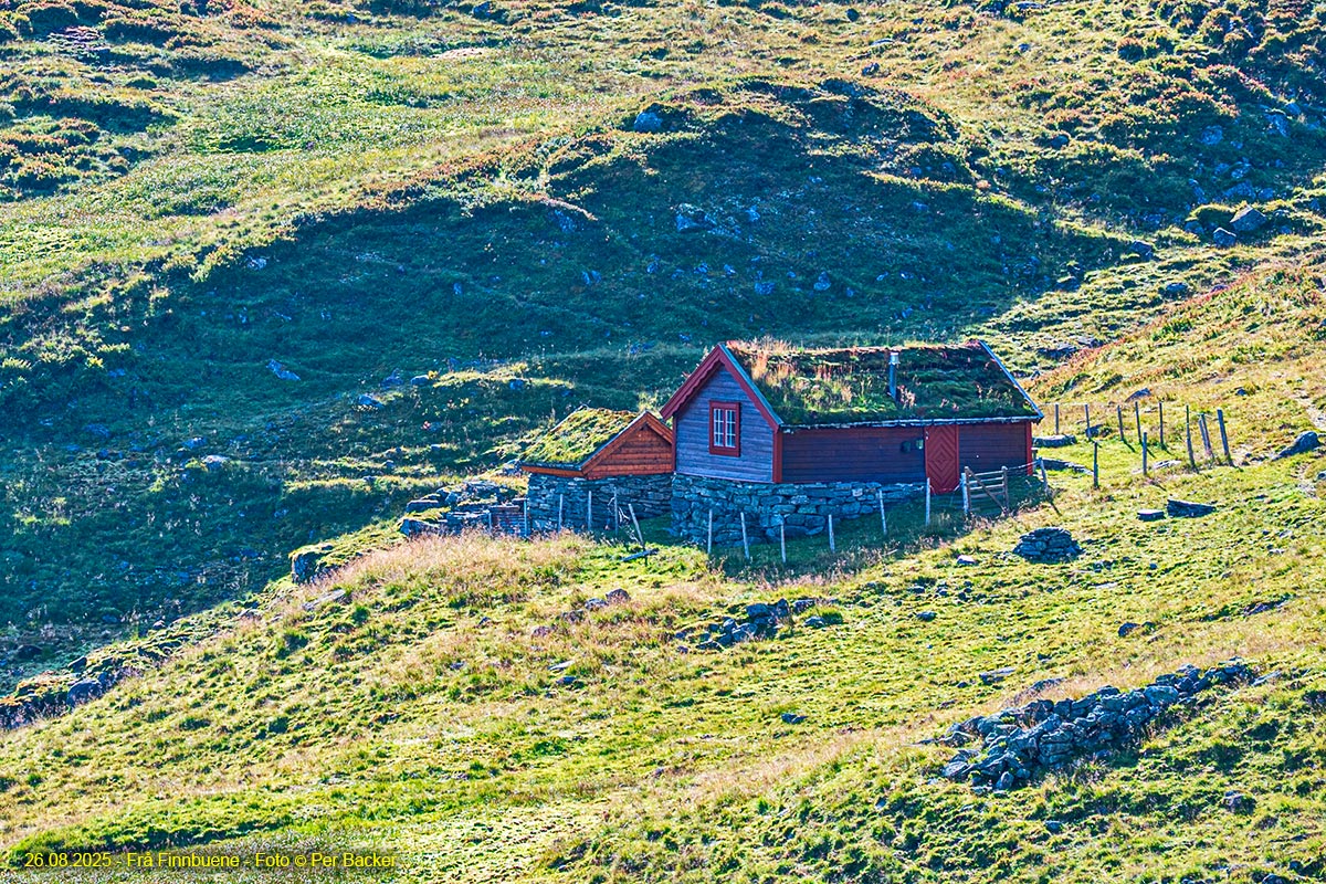 Frå Finnbune