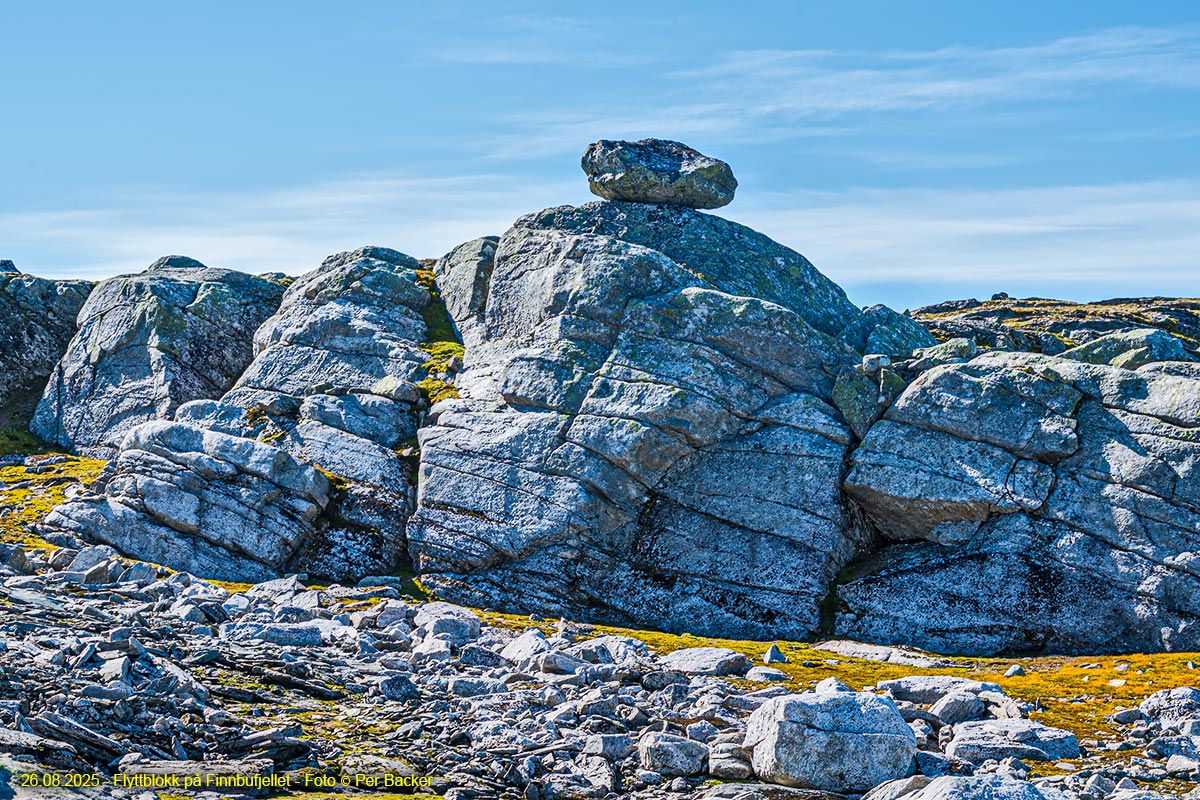 Flyttblokk på Finnbufjellet