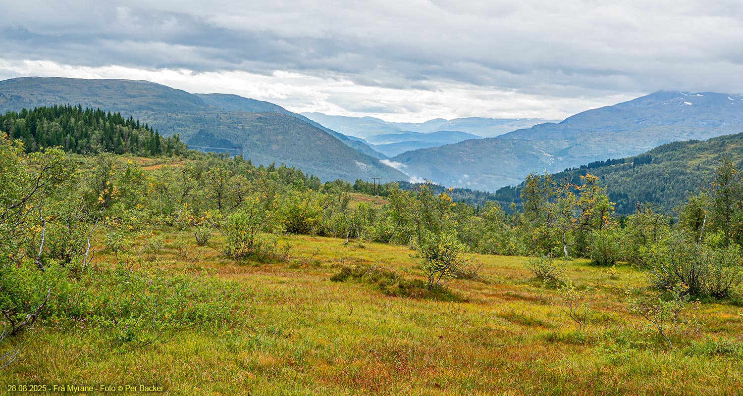Frå Myrane