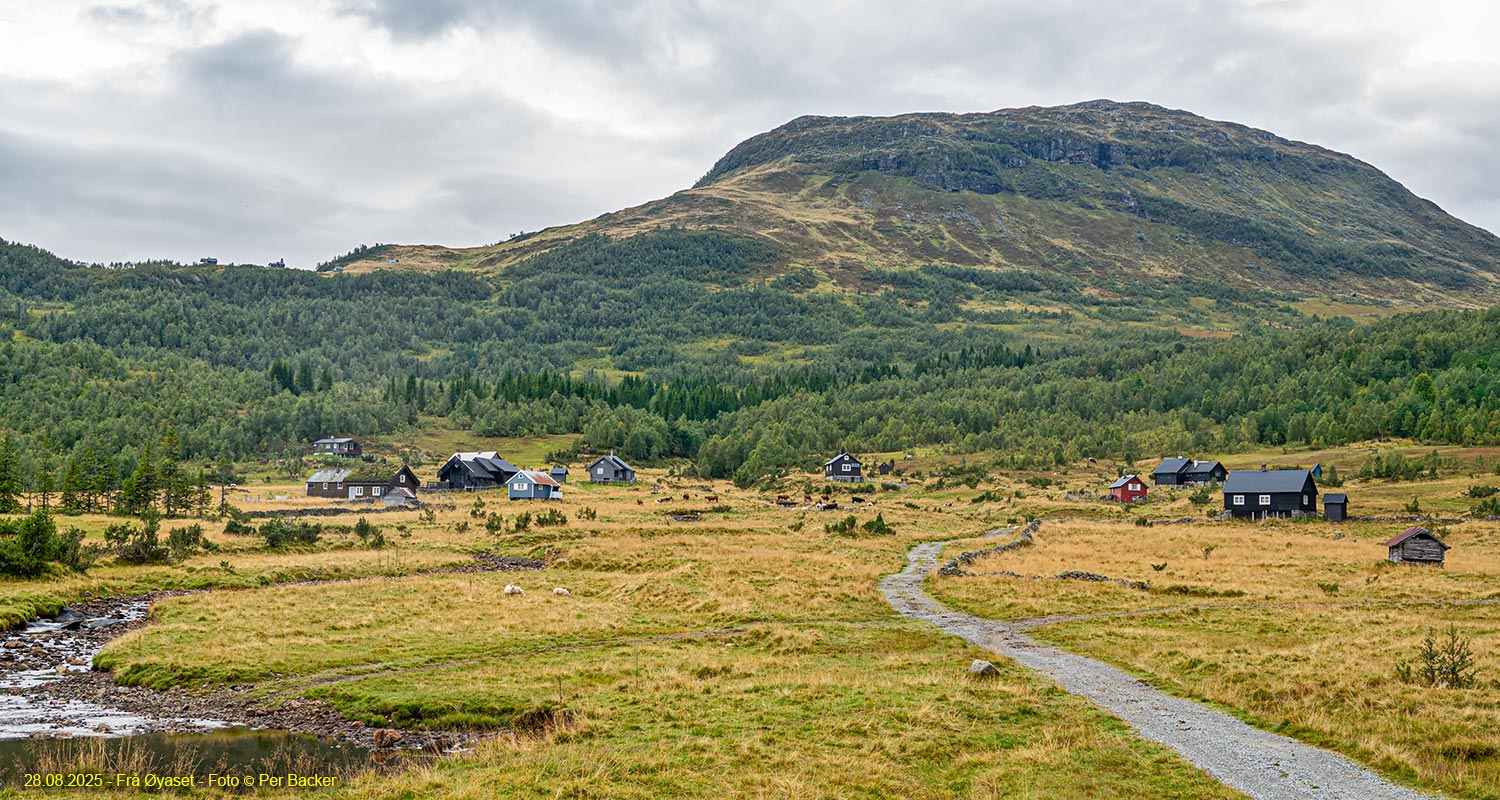 Frå Øyaset