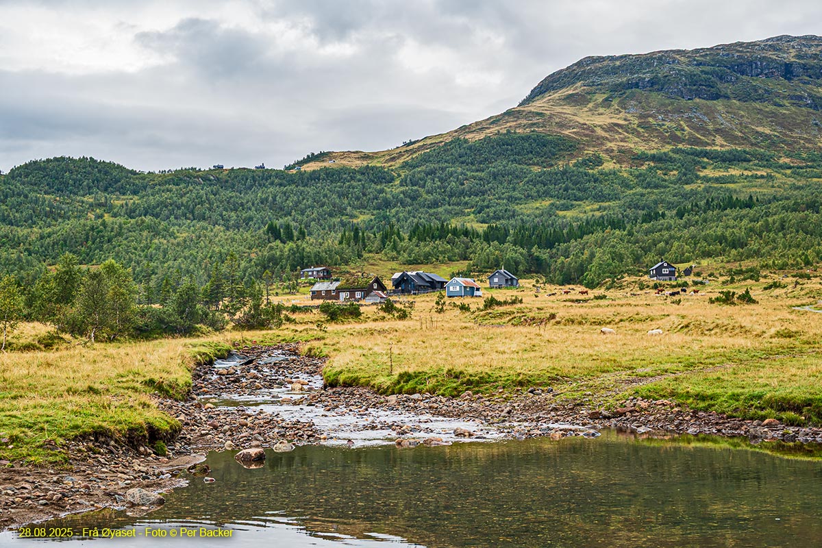 Frå Øyaset